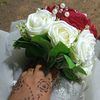 hnoosha7662545184740