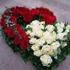 osam53ly