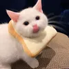 garlicbutter0_0