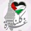 adel.dz248