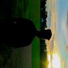 user01973397