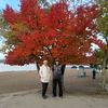 arashan__kg