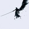 apofeozov_gottle