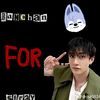 fan_skz95