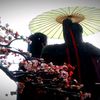 _owl_jbib