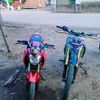 tigaputri346