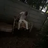 jamesdbest1