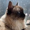 princesslucy111