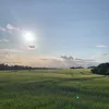 alfie.f14