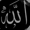 user9zml9rful8