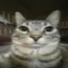 kwfelipekw