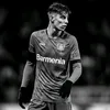 kevinnz47