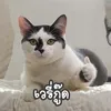 musarhama