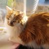 delyse_r