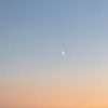 nodhx_