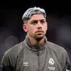 فلــفل 🦅