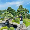 toantungnhatjp