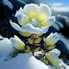 thaonguyenhoang487