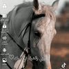 uservnxmtldnm9