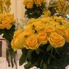 shosho2013_22