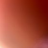 mnhfjfi2333