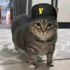 nooonstore