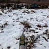 jamiestephenson_123
