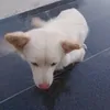 nam.huynh579