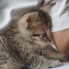 muhqi_23