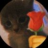 ele._.33