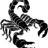ediescorpio