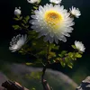 nguyennhu.1981thut