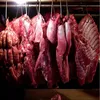 pig1204pig