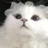 useroemashdez5