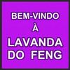 lavandadofeng