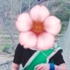 saritalama1147