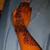 umarashid1