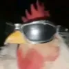 speedkogut