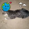 shuniko18