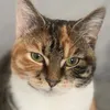 witchymoon96