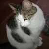 luiza_200511