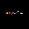 cm_laport