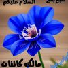 mughalbhai139