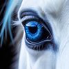 insightermelody111