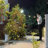 ktsphamthienkhanh