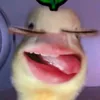 tduongiuanhh00