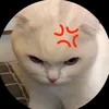 thaotran241102