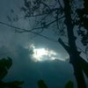 kharin.arip