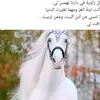 nj_oo12