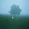 itz_dhar_dump